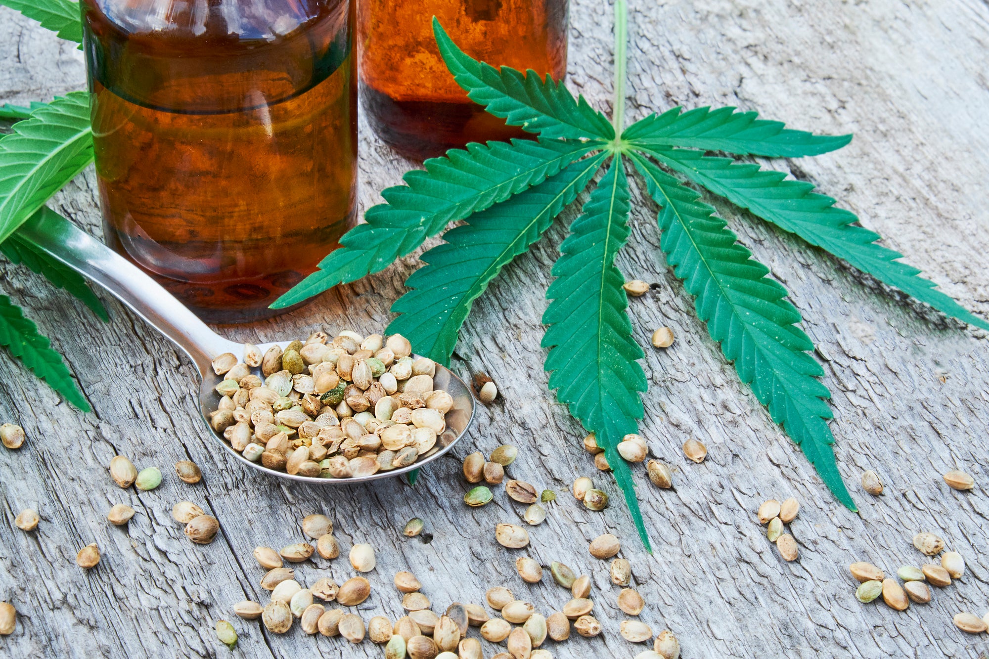 CBD Q&A